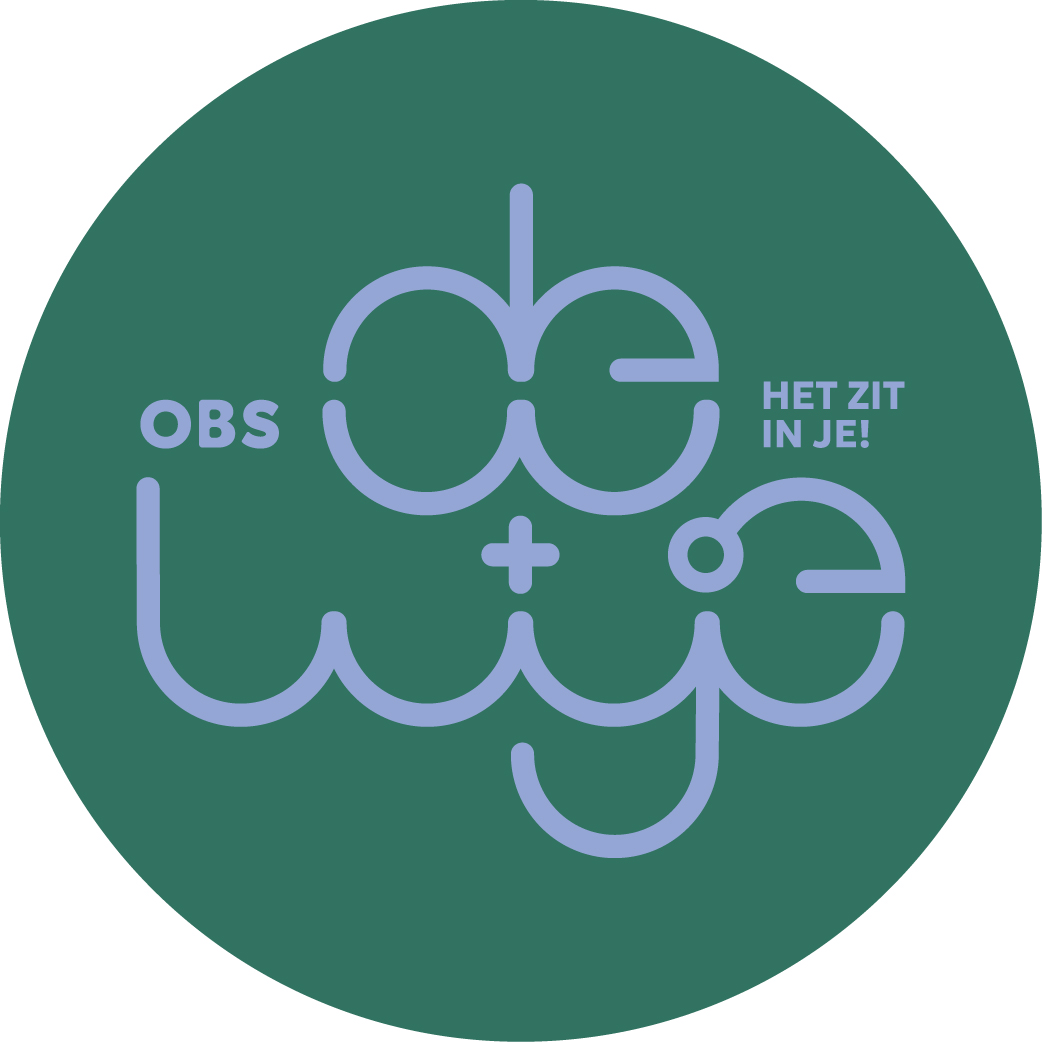 logo obs de wije